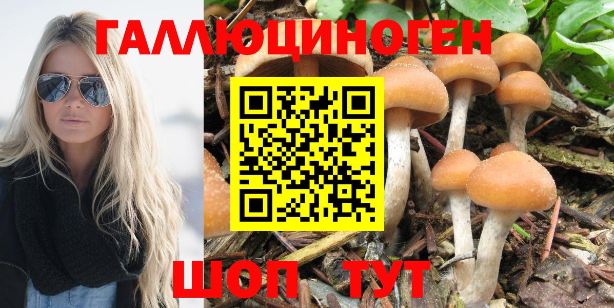 Мефедрон  Вход с VPN  LSD-25  Верхняя Пышма  ГАШИШ  Бошки Шишки  Codein  Мефедрон  