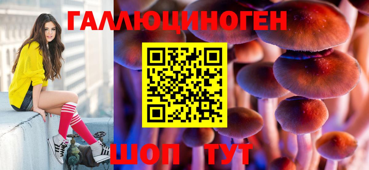 цена наркотик  Галлюциногенные грибы прущие грибы  Вход с VPN  Верхняя Пышма 