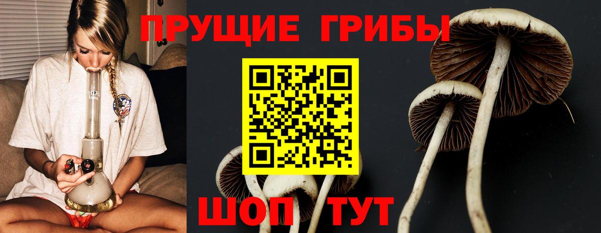 Галлюциногенные грибы Magic Shrooms Верхняя Пышма